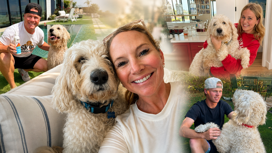 CA Doodle Rescue, To the RESCUE!