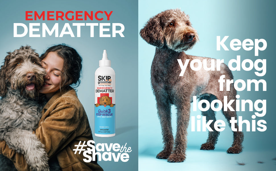 Hands working Emergency Dematter Cream into a Goldendoodle's coat with a Rake Brush — the calm method for working through a mat at home.