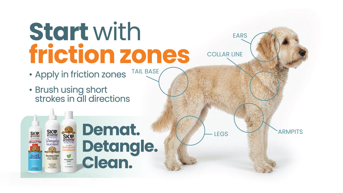 A hand lifting a Goldendoodle's ear flap to check the friction zone at the base — the number-one mat spot on curly coats.