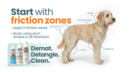 A hand lifting a Goldendoodle's ear flap to check the friction zone at the base — the number-one mat spot on curly coats.