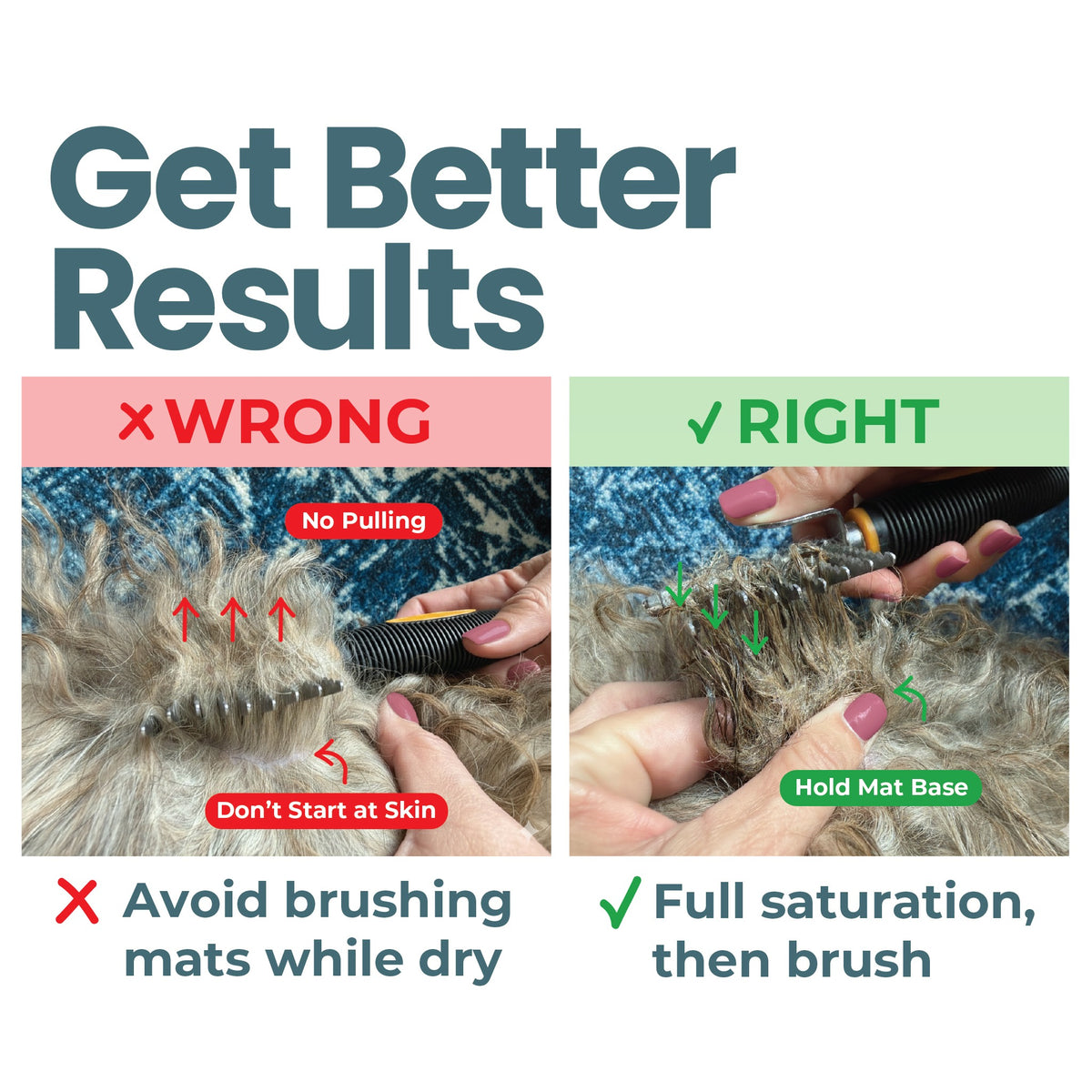 Demat the Easy Way — Dematter Cream + Calming Chews, image 4