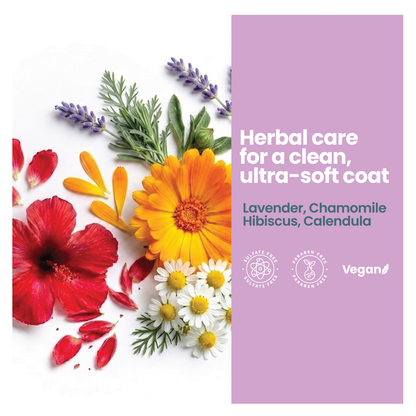 Calm the Bath — Lavender Shampoo + Calming Chews, image 4