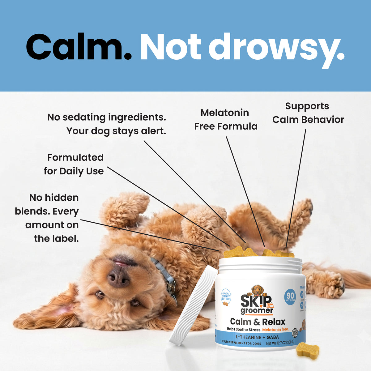 Demat the Easy Way — Dematter Cream + Calming Chews, image 5