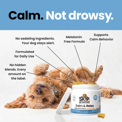Demat the Easy Way — Dematter Cream + Calming Chews, image 5