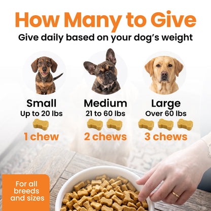 Demat the Easy Way — Dematter Cream + Calming Chews, image 7