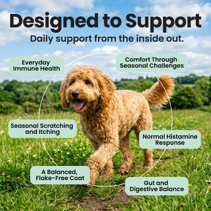 Allergy & Itch Relief - Dog Allergy Chews with Quercetin