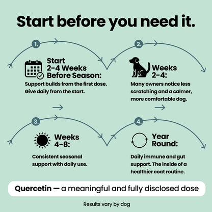 Allergy & Itch Relief - Dog Allergy Chews with Quercetin