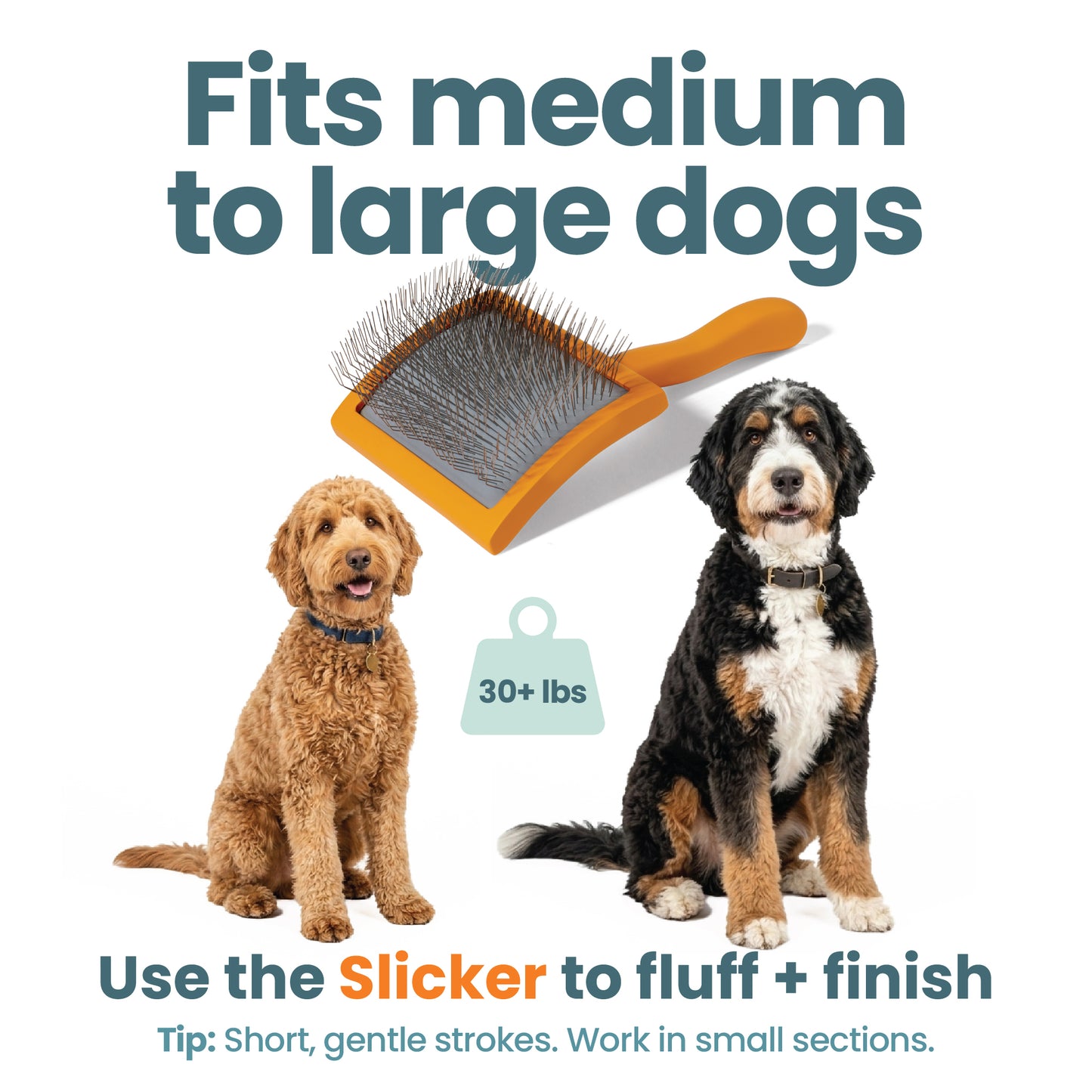Slicker Brush
