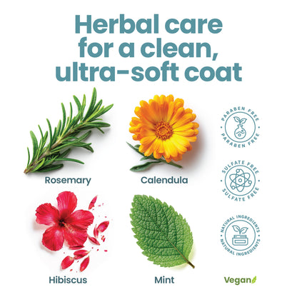 4-IN-1 Rosemary Mint Shampoo & Conditioner