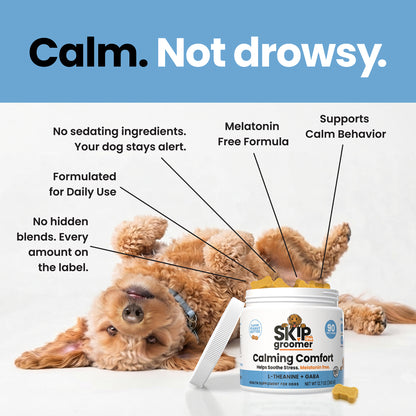 Calming Comfort - Melatonin Free, Calming Chews for Dogs