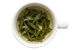Green Tea Extract icon