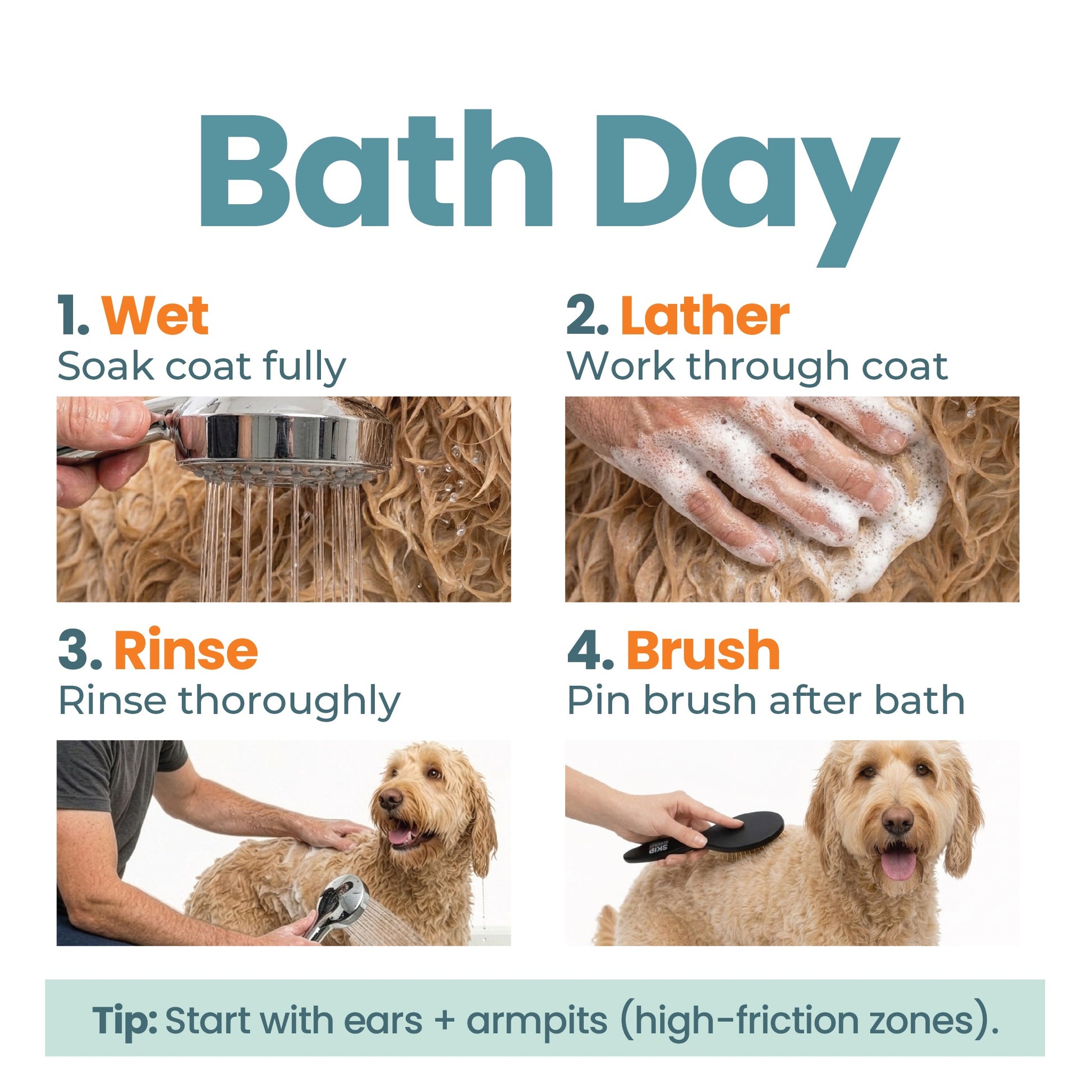 Four-step dog bath routine showing wetting, lathering, rinsing, and brushing coat after wash with grooming tips for high-friction areas.