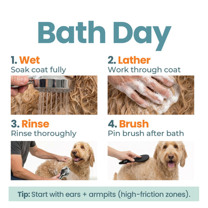 Four-step dog bath routine showing wetting, lathering, rinsing, and brushing coat after wash with grooming tips for high-friction areas.