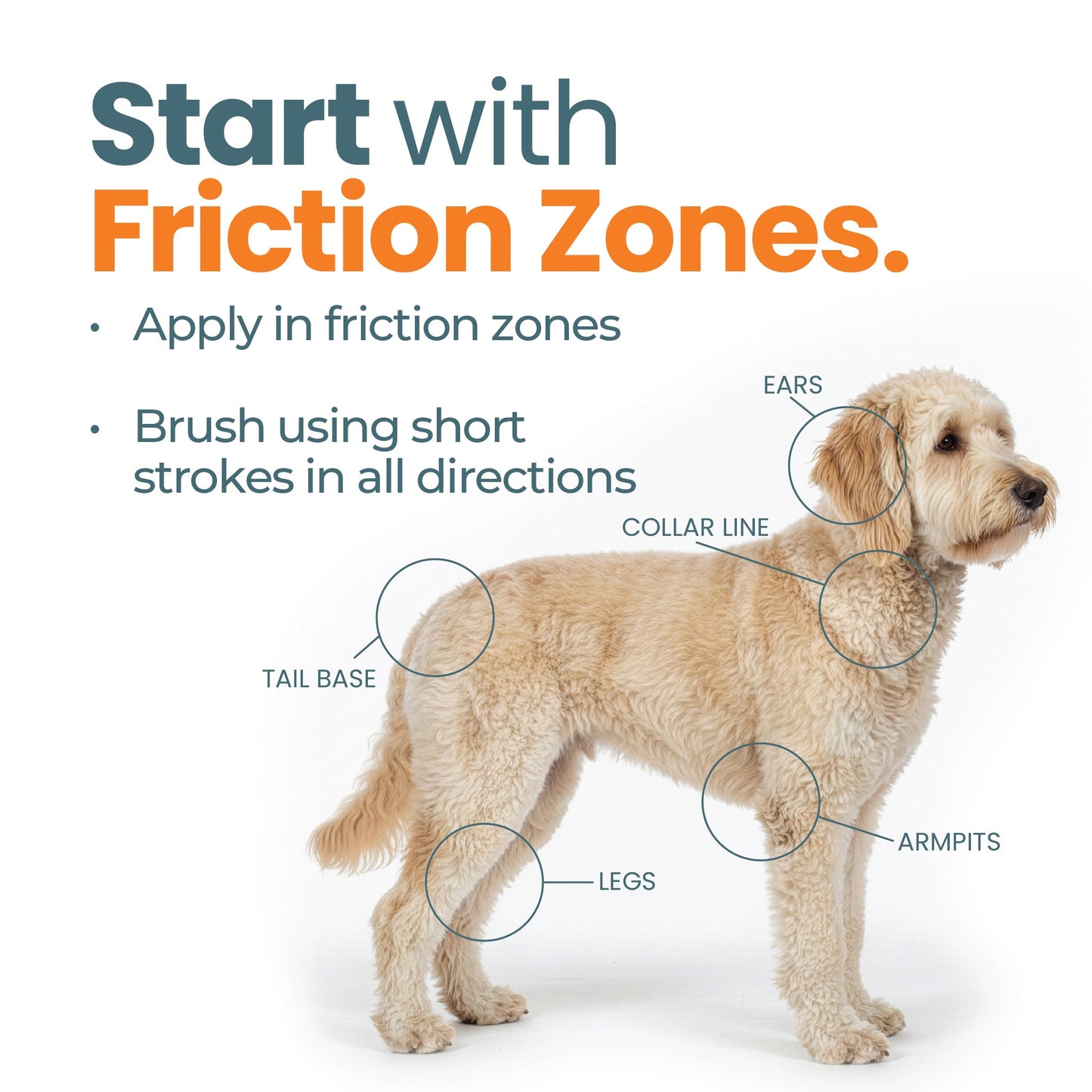 Dog grooming guide showing friction zones on body (ears, collar line, legs, armpits, tail base) with instructions for gentle brushing technique