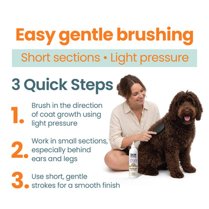 Three-step dog grooming guide showing gentle brushing technique with shampoo and brush use for smooth coat results at home