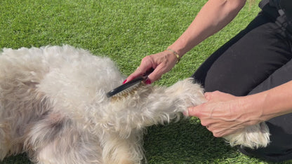Detangle the Tangle (Detangling Treatment + Pin Brush)