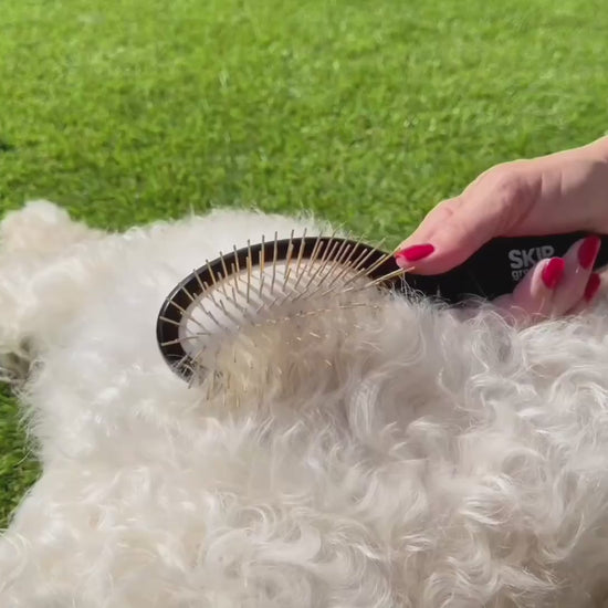 Omega Soft Coat chews product video