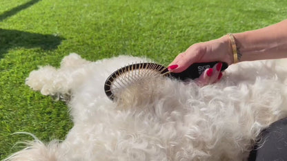 Omega Soft Coat chews product video