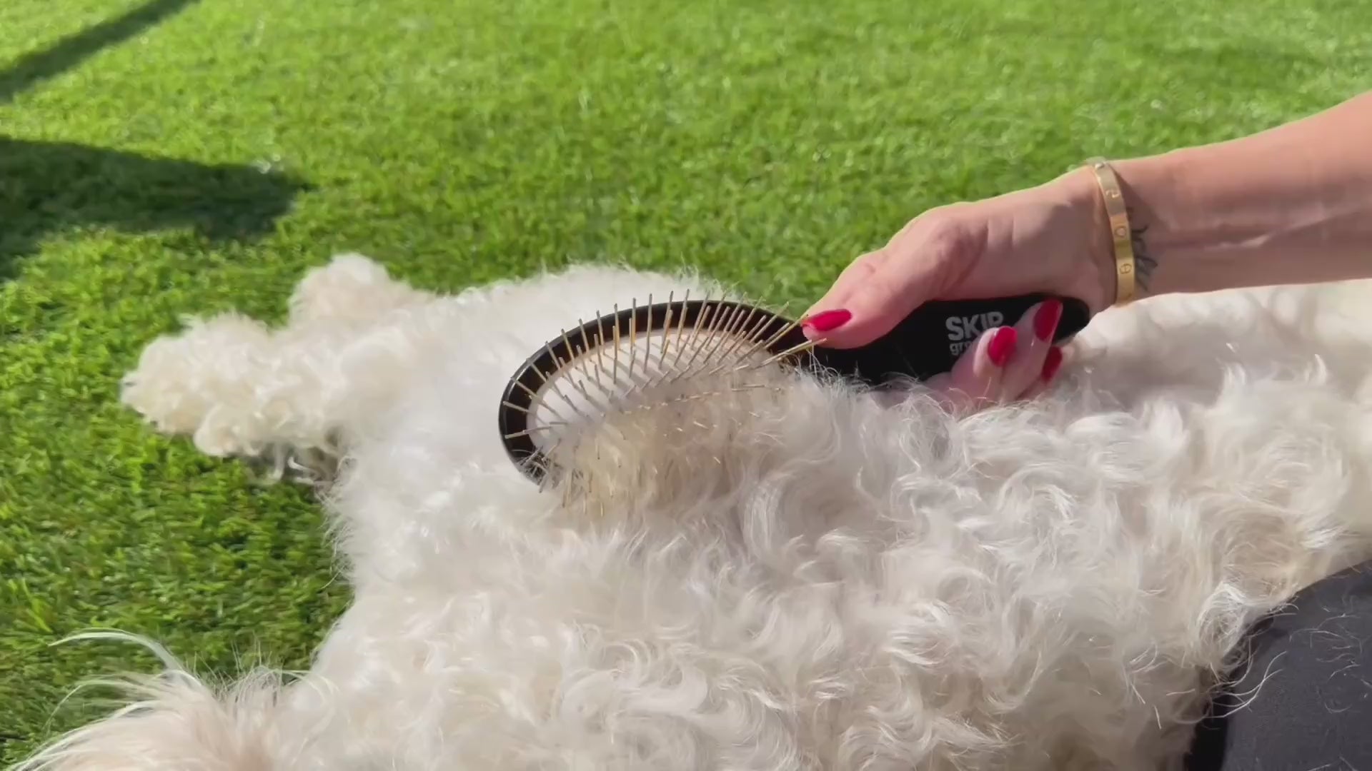 Omega Soft Coat chews product video