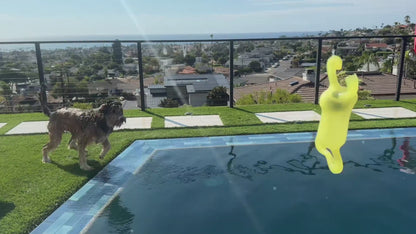 4-IN-1 Rosemary Mint Shampoo & Conditioner