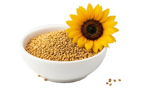 Sunflower Lecithin icon