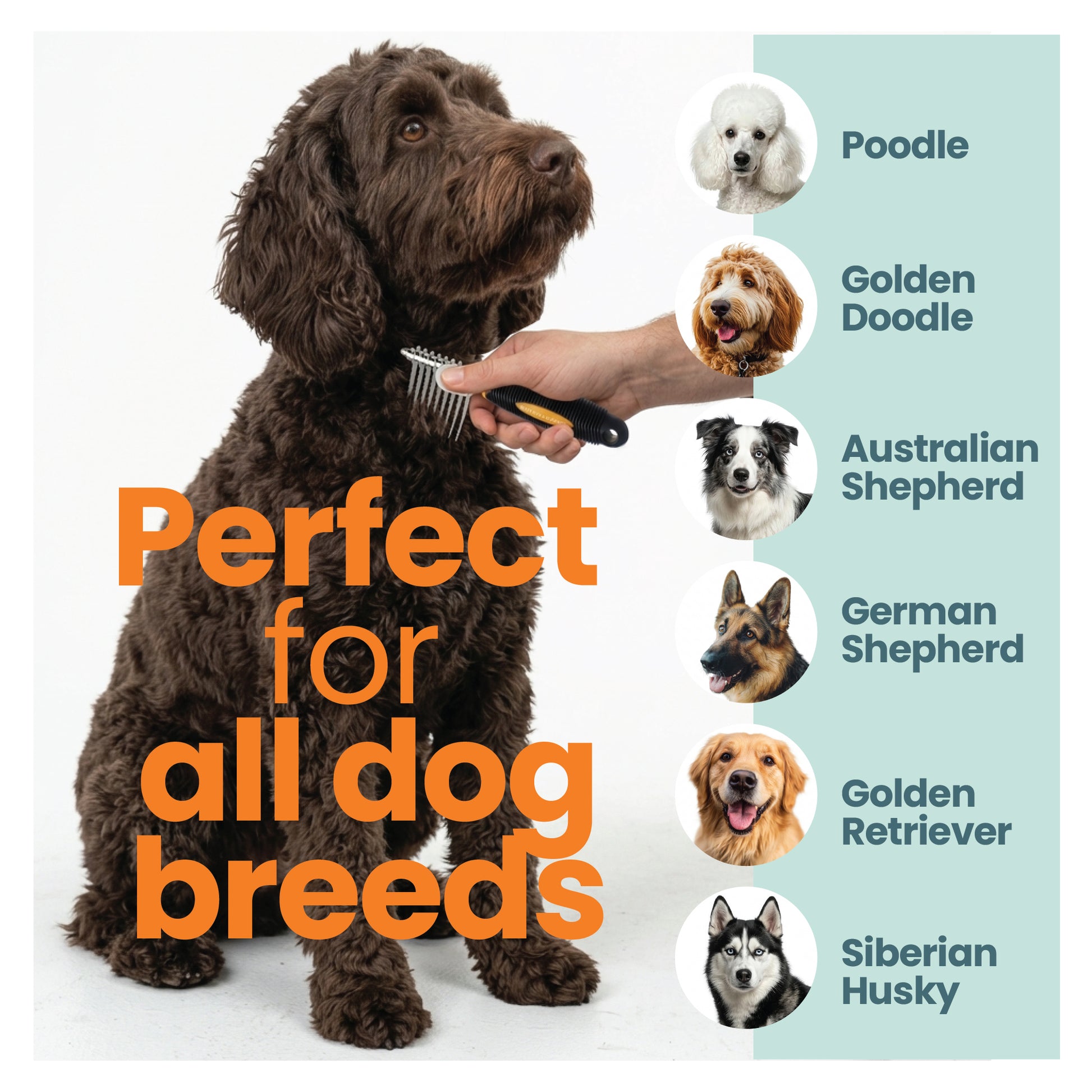 Skip The Groomer brush shown on curly coated dog highlighting suitability for all dog breeds including poodles doodles shepherds and retrievers