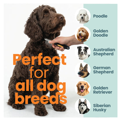 Skip The Groomer brush shown on curly coated dog highlighting suitability for all dog breeds including poodles doodles shepherds and retrievers