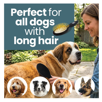 Skip The Groomer pin brush used on long haired dog showing gentle grooming for all breeds with smooth coat finish and easy brushing