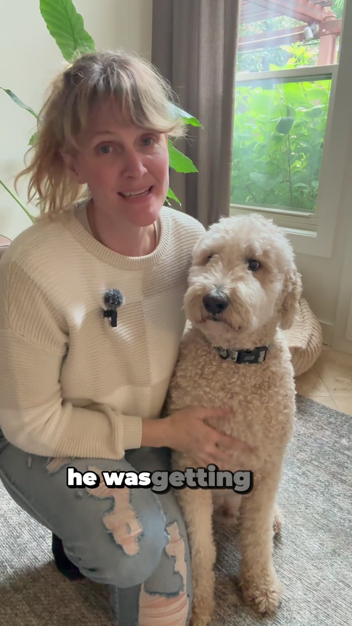 I thought we were gonna have to shave him down.