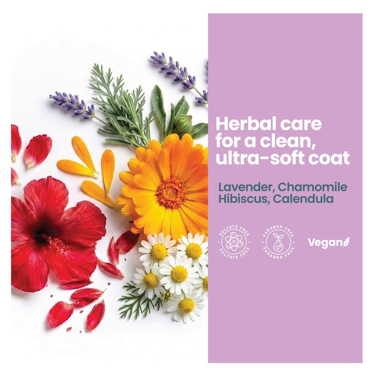 stgsh scent lavender chamomile 4 herbal