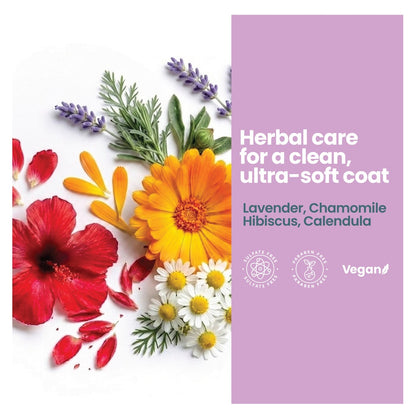 stgsh scent lavender chamomile 4 herbal