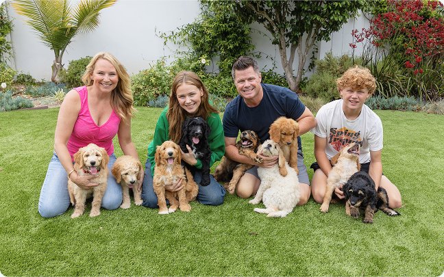 Nine puppies. Nine different coats.